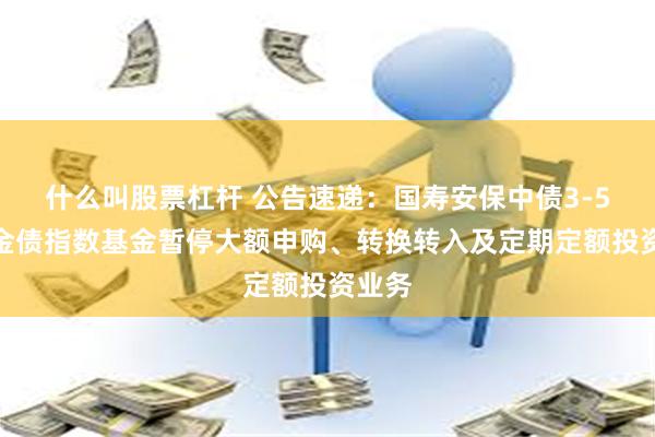 什么叫股票杠杆 公告速递：国寿安保中债3-5年政金债指数基金暂停大额申购、转换转入及定期定额投资业务