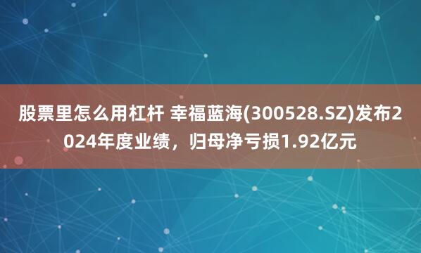 股票里怎么用杠杆 幸福蓝海(300528.SZ)发布2024年度业绩，归母净亏损1.92亿元