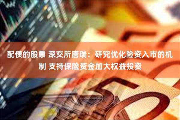 配债的股票 深交所唐瑞：研究优化险资入市的机制 支持保险资金加大权益投资