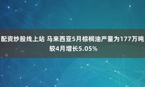 配资炒股线上站 马来西亚5月棕榈油产量为177万吨 较4月增长5.05%