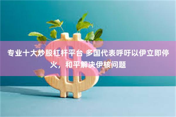 专业十大炒股杠杆平台 多国代表呼吁以伊立即停火，和平解决伊核问题