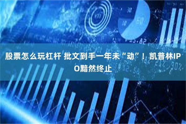 股票怎么玩杠杆 批文到手一年未“动”！凯普林IPO黯然终止