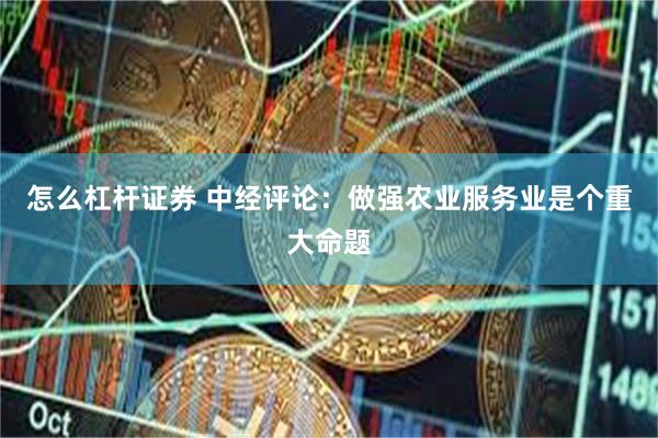 怎么杠杆证券 中经评论：做强农业服务业是个重大命题