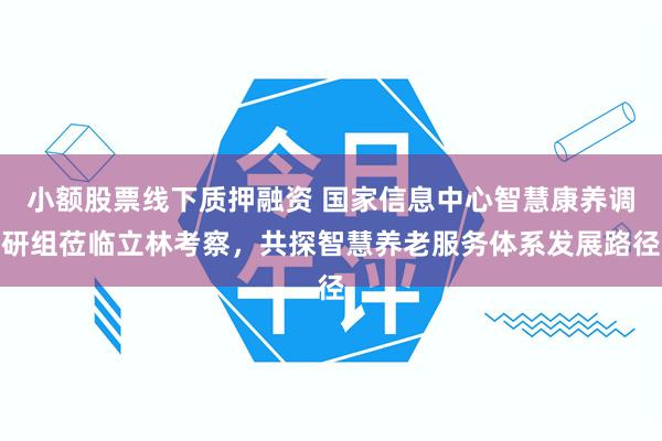 小额股票线下质押融资 国家信息中心智慧康养调研组莅临立林考察，共探智慧养老服务体系发展路径